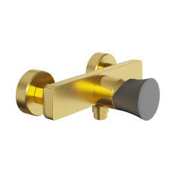 Фото Смеситель для душа Paini Domus 18PJ511PZ золото