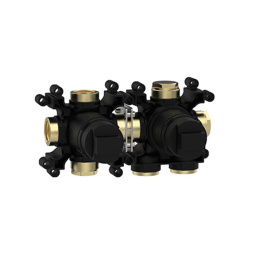 Фото Внутренняя часть Almar Water Control Modular E176901 термостатического смесителя с переключателем на