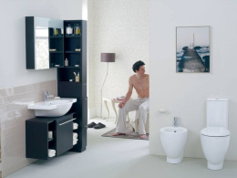 Биде напольные Ideal Standard Small+ W807401 Напольное биде