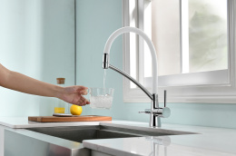 Смеситель для кухни Paulmark Siegen (Si213111-CrW) хром