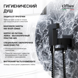 Фото Смеситель с гигиеническим душем Paini Bella BLPZ442 черный