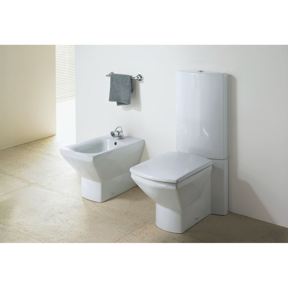 Сиденье для унитаза Duravit Caro 0065610000, белый