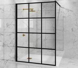 Фото Душевая перегородка 100x195 Paini PAINI-WalkIN100G