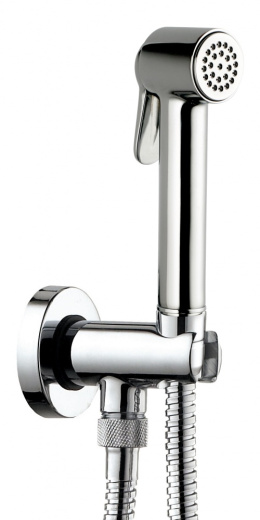 Гигиенический душ Bossini Paloma Brass Set C69038.030