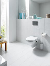 Подвесной унитаз Laufen Pro 8209520000001