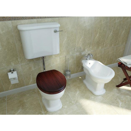 Биде напольное Vitra Efes (6597B003-0068) белый