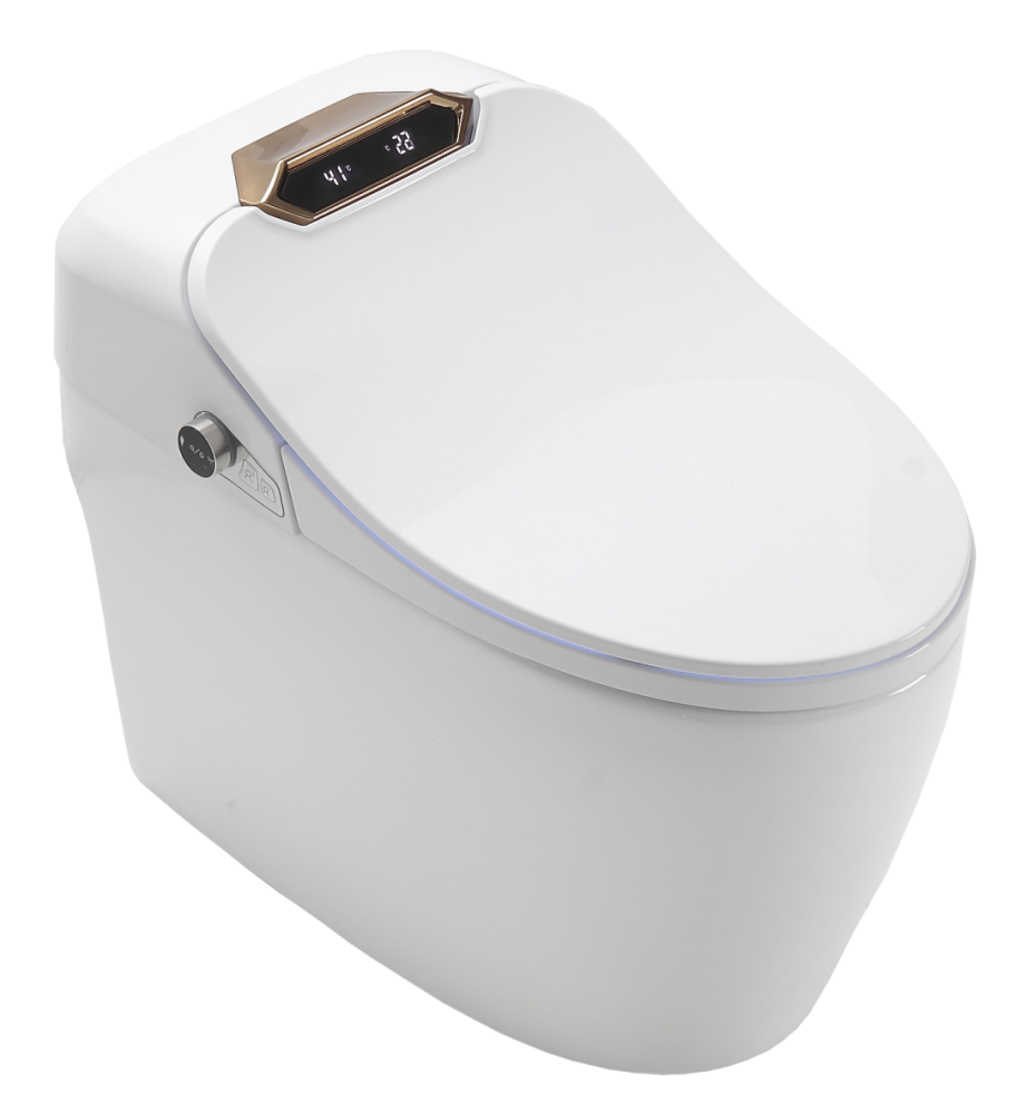 Фото Унитаз-биде Timo TE-731 электронный