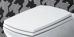 Фото Сиденье для унитаза ArtCeram Jazz (JZA006 01 71)