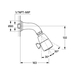 Верхний душ Grohe Sinfonia 28956IG0, 16,3х13,2 см, 1 режим струи, с держателем, хром/золото
