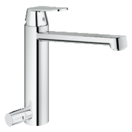 Grohe Eurosmart Cosmopolitan 30195000 Смеситель для кухни, переключатель и отвод холодной воды для п