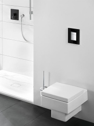 Кнопка смыва Grohe Skate Cosmopolitan (38845KS0) серый, черный