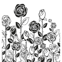 Душевая дверь Cezares Rosa ROSA-BA-1-90-RO-Bi, 90 х 195 см