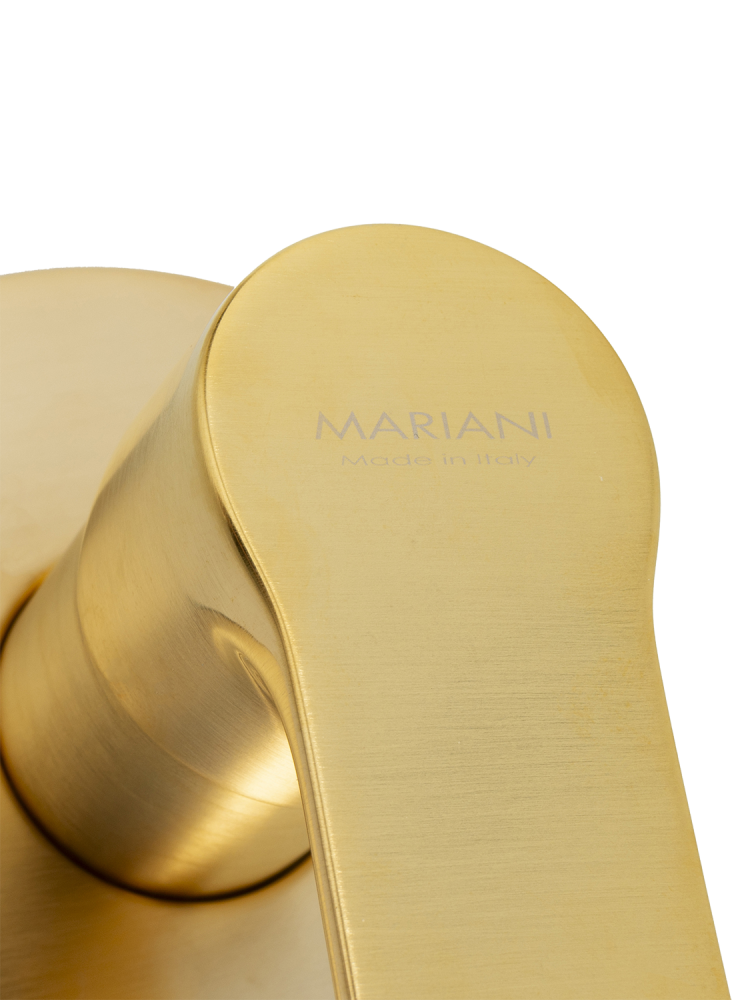 Фото Смеситель для душа Mariani Kali B22179KL, золото брашированное