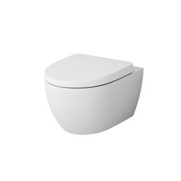 Инсталляция с подвесным унитазом Am.Pm Awe (IS47001.111738) белый