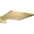 Верхний душ Hansgrohe Raindance 26238990, 300 х 300 мм, 1 режим струи, с держателем, золото