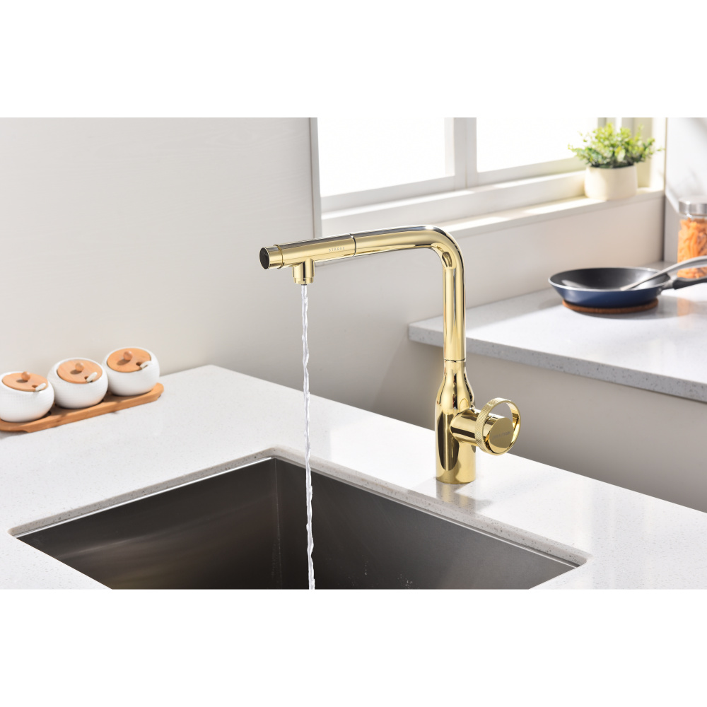 Смеситель для кухни Paulmark Urban (Ur213104-G) золото