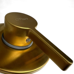 Фото Смеситель для душа Paini Brera 74PJ690 золото