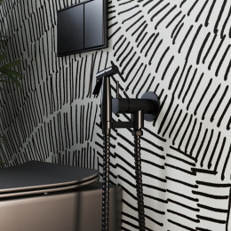 Фото Смеситель с гигиеническим душем Paini Isola ISPZ442 черный