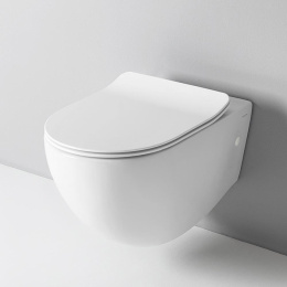 Фото Подвесной унитаз ArtCeram File (FLV004 05 00) белый матовый