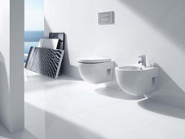 Фото Сиденье для унитаза Roca Meridian (8012AC004) белый