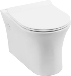 Подвесные унитазы Унитаз подвесной Aquanet Rimless Roll-W CL-12249D