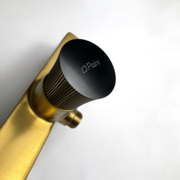 Фото Смеситель для душа Paini Domus 18PJ511PZ золото