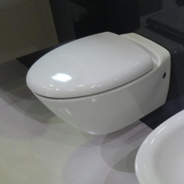 Фото Подвесной унитаз Jacob Delafon Presquile E4440-00 крышка микролифт