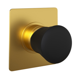 Фото Смеситель для душа Paini Domus 18PJ690PZ золото