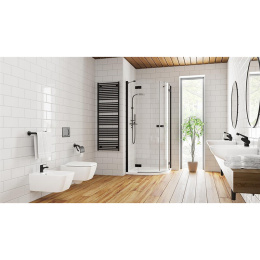Дверь душевого уголка Radaway Essenza New PDD 100 L профиль Черный стекло прозрачное 385003-54-01L