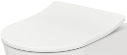 Фото Крышка-сиденье для унитаза Toto RP TC513F микролифт