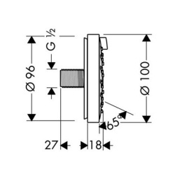 Боковая форсунка Hansgrohe Raindance (28477000) хром