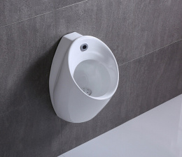 Фото Писсуар подвесной CeramaLux X560P