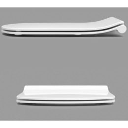 Фото Сиденье для унитаза Roca Dama Senso (ZRU9302991) белый