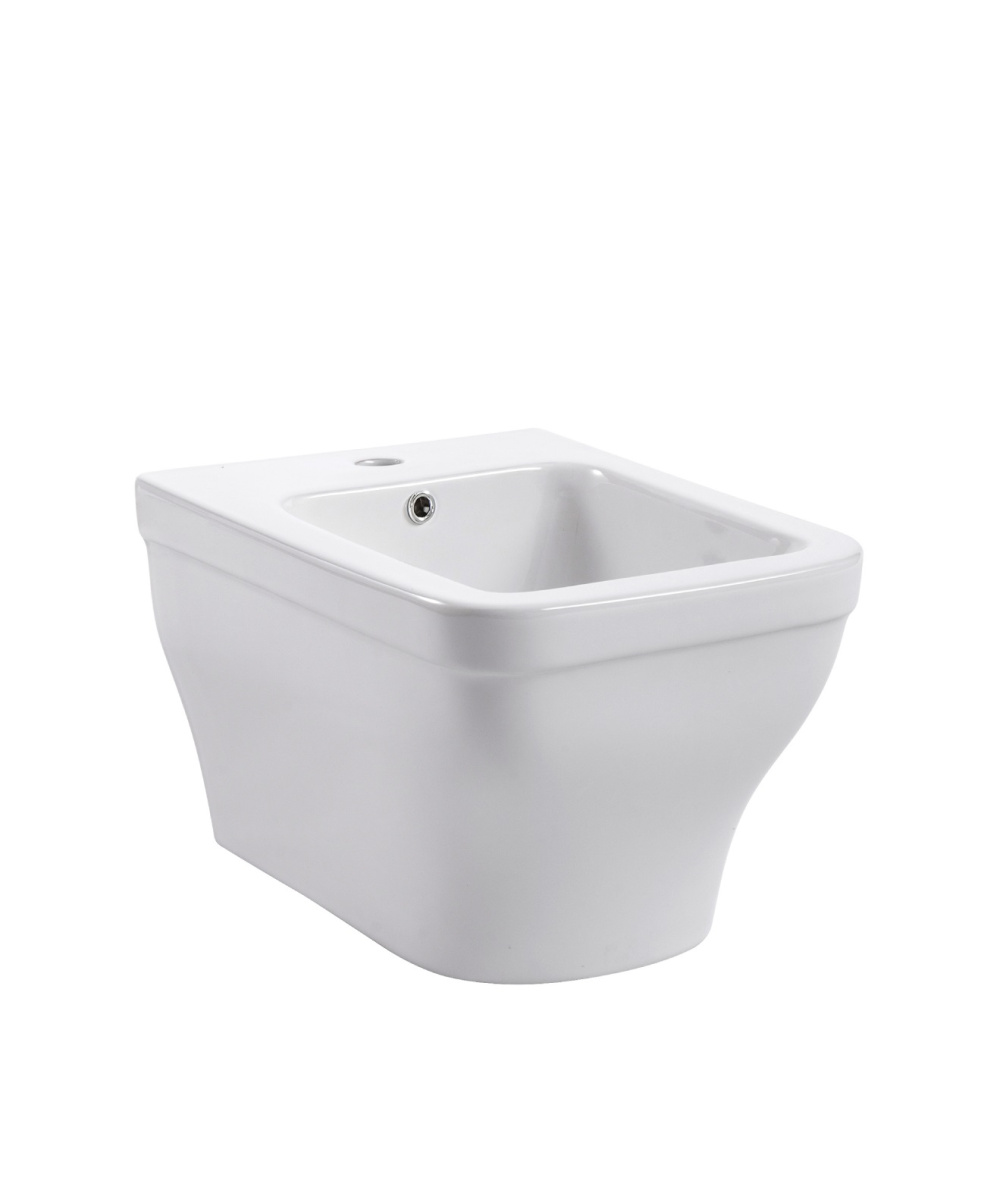 Биде подвесное Aquatek Амадео (AQ1663-00), цвет белый