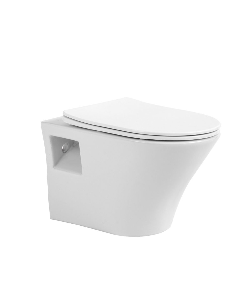 Подвесной безободковый унитаз с сиденьем микролифт Avimano Promotion 1000080, цвет белый глянцевый