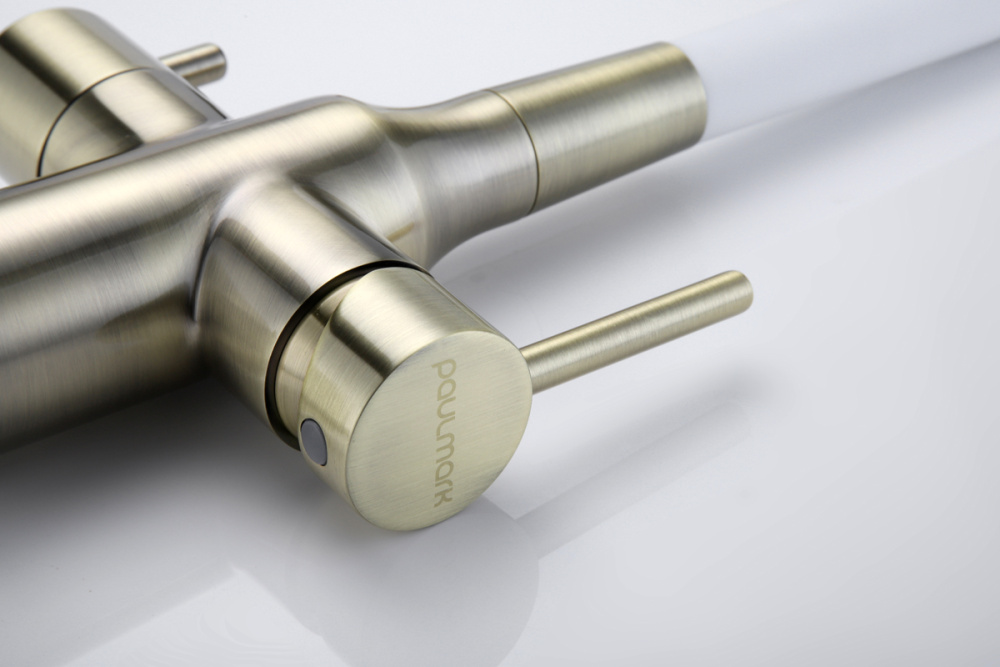 Смеситель для кухни Paulmark  (Sa213419-BRw) бронза