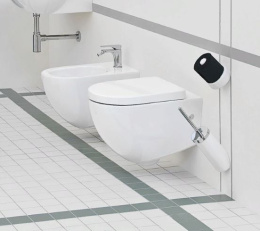 Фото Подвесной унитаз ArtCeram File (FLV004 16 00) синий