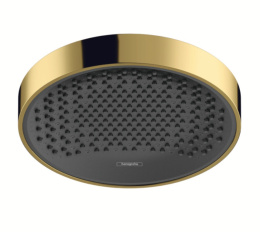Верхний душ Hansgrohe Rainfinity 26228990, 25 х 25 см, 1 режим струи, без держателя, золото