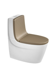 Фото Сиденье с крышкой для унитаза Roca Khroma (801652F9T)