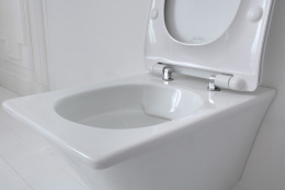 Унитаз подвесной JACOB DELAFON GRANDS BOULEVARDS EDW102-00 ((54*37), белый