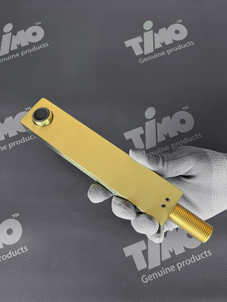 Фото Смеситель для раковины встроенный Timo Briana 7171/17SM золото матовое