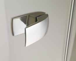 Душевая дверь в нишу Huppe Enjoy Elegance 67000 091 321 80*200 см