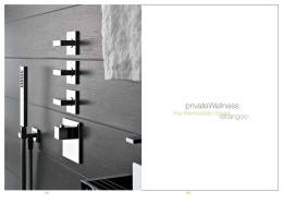 Внешняя часть термостатического смесителя Gessi Rettangolo Wellness (43216#031) хром