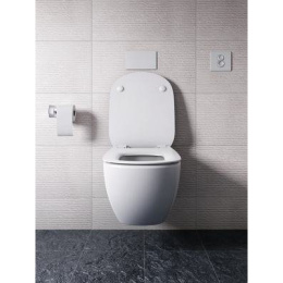 Клавиша смыва Ideal Standard Prosys Septa Pro (R0136AA) хром