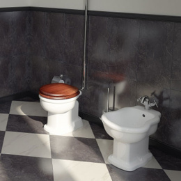 Биде напольное Vitra Efes (6597B003-0068) белый
