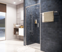 Душевая дверь WasserKRAFT Berkel 48P04 90*200 см