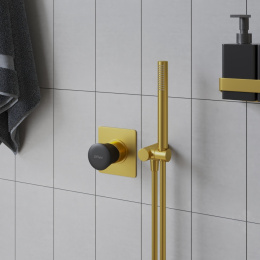 Фото Смеситель для душа Paini Domus 18PJ690PZ золото