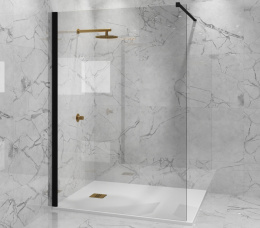 Фото Душевая перегородка 110x195 Paini PAINI-WalkIN110C