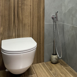 Фото Смеситель с гигиеническим душем Paini Isola ISCR442 хром