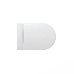 Комплект Laufen Pro (6.2096.6.395.000.1) унитаз подвесной Rimless, крышка-сиденье soft-close